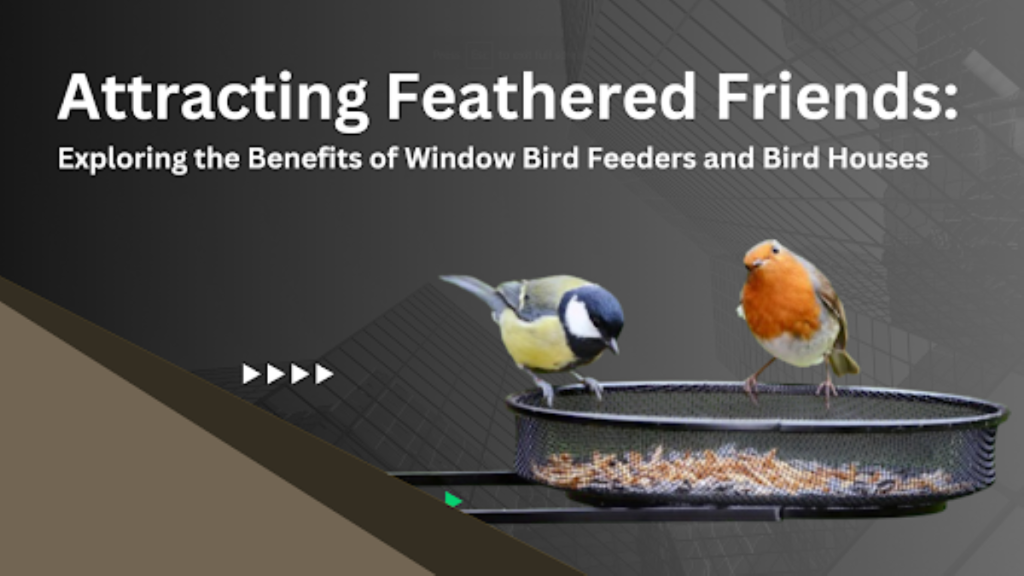 window bird feeder and bird houses // Healthier Pets Today