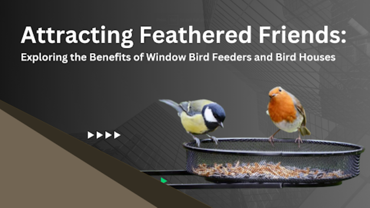 window bird feeder and bird houses // Healthier Pets Today