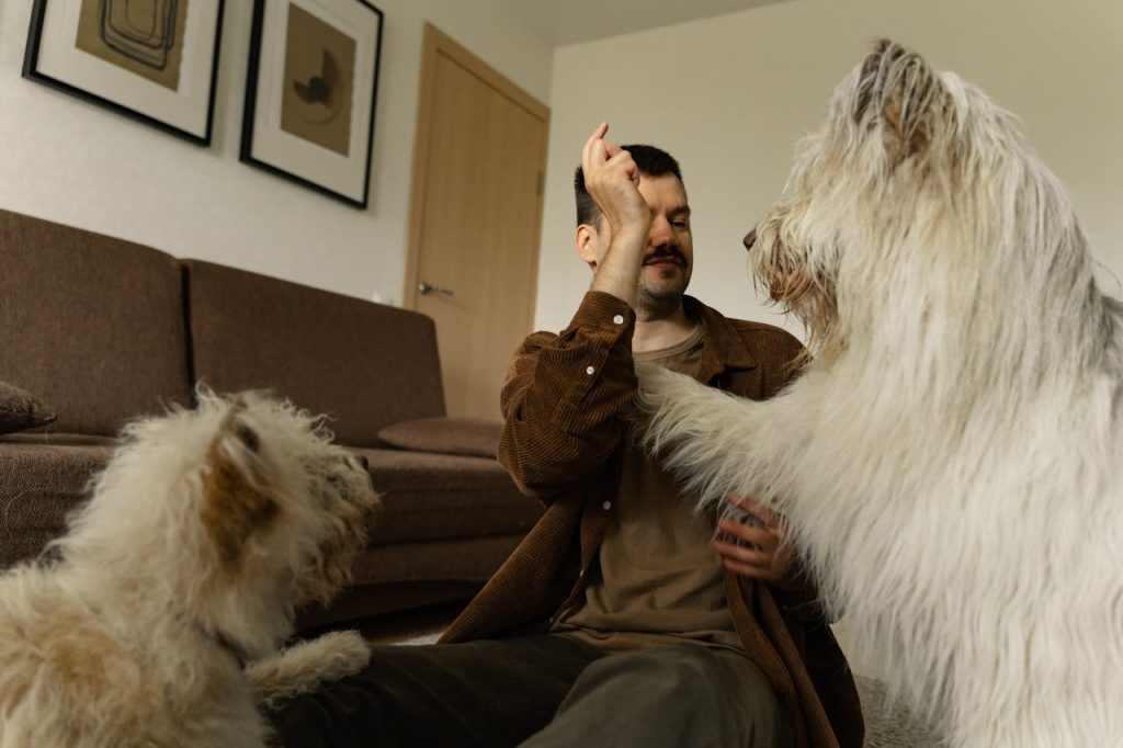 Dog Body Language., A Man Spending Time with His Dogs // Healthier Pets Today