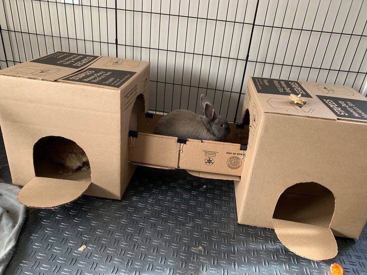 DIY Rabbit Toys // Healthier Pets Today