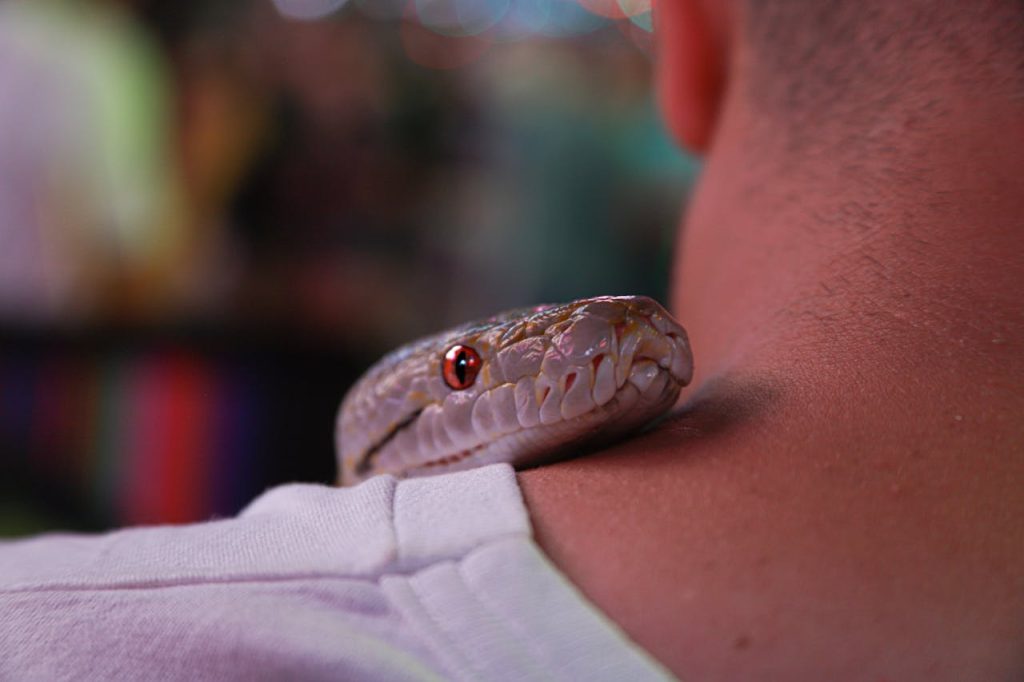 Types of Snakes for Pets, Gray Snake on Person's Neck // Healthier Pets Today
