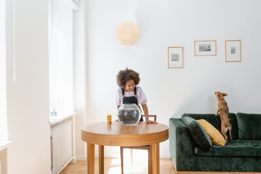 Little Girl Standing on a Chair and Looking at a Fish Tank Standing on a Table // Healthier Pets Today
