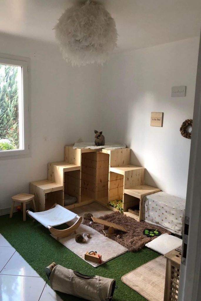 Rabbit play area // Healthier Pets Today