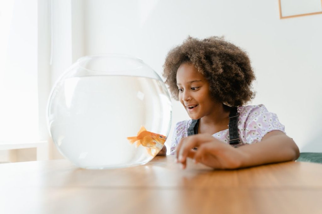 Small Girl Enjoying Goldfish in the Aquarium // Healthier Pets Today