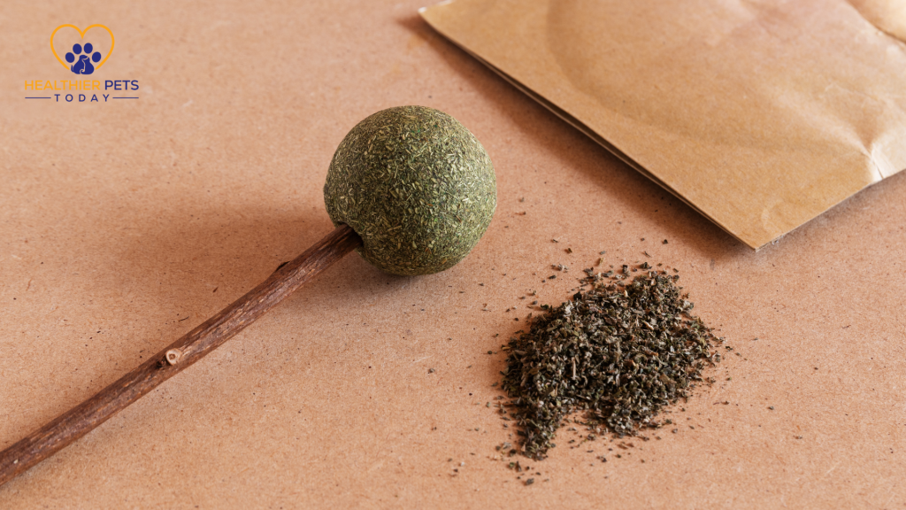 Dried catnip next to a catnip ball on a stick with brown flooring // Healthier Pets Today