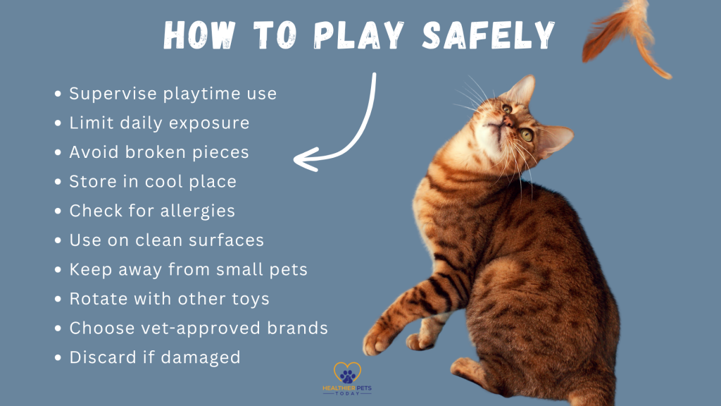 Bengal cat playing near safety tips list for using catnip roller balls, including supervision, storage, and toy rotation // Healthier Pets Today
