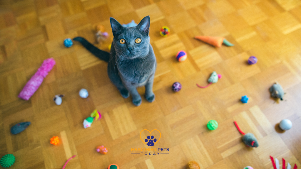 Cat surrounded by catnip toys on a wooden floor // Healthier Pets Today