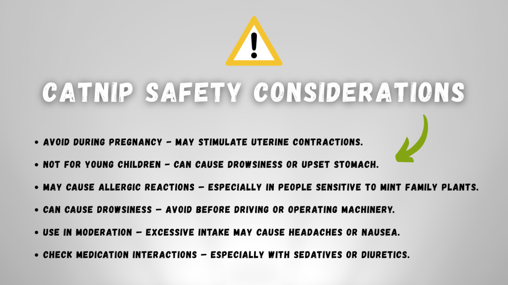 A safety warning graphic titled “Catnip Safety Considerations” listing potential risks like drowsiness, allergic reactions, and unsuitability for pregnancy or young children, with an exclamation icon and green arrow for emphasis // Healthier Pets Today