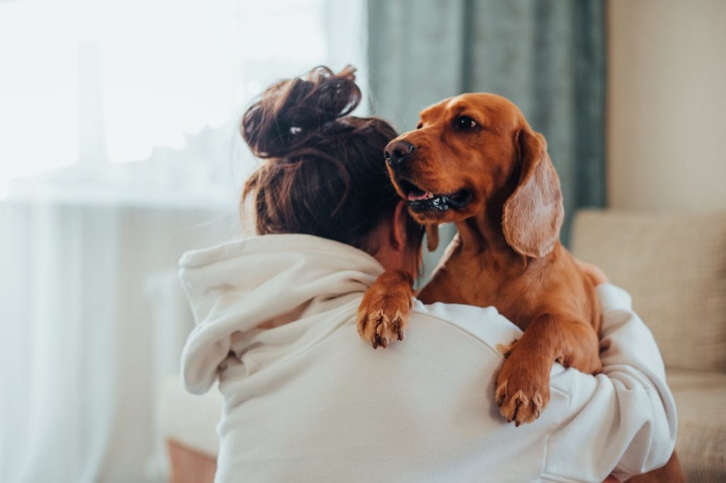 7 Stages of Grief, Unrecognizable young woman hugging obedient dog at home // Healthier Pets Today