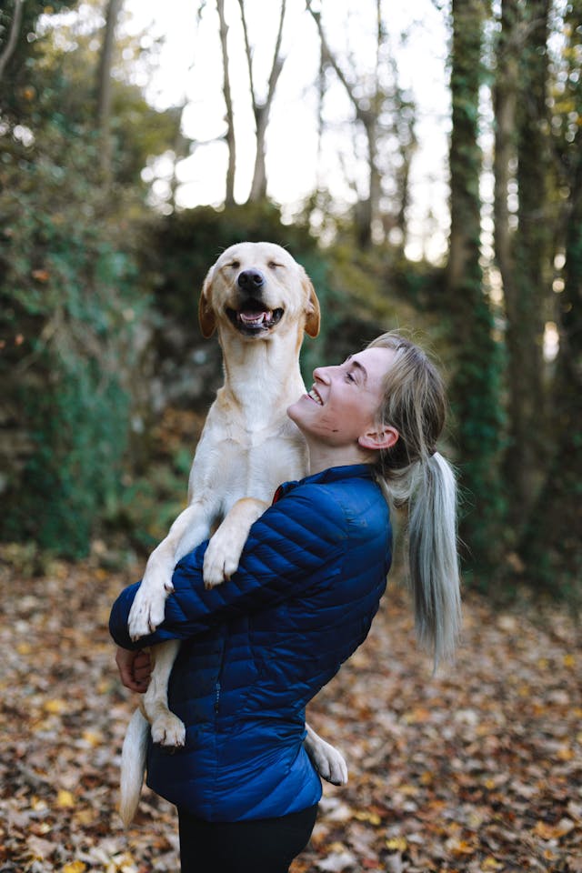 Woman Carrying Adult Fawn Dog // Healthier Pets Today