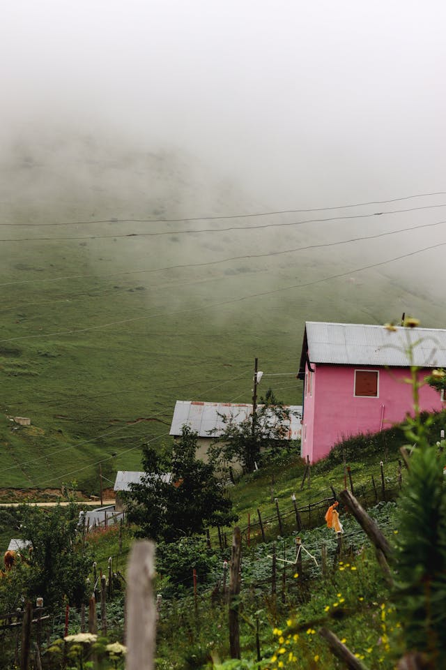 Fences Between Gardens and Houses on a Hill // Healthier Pets Today