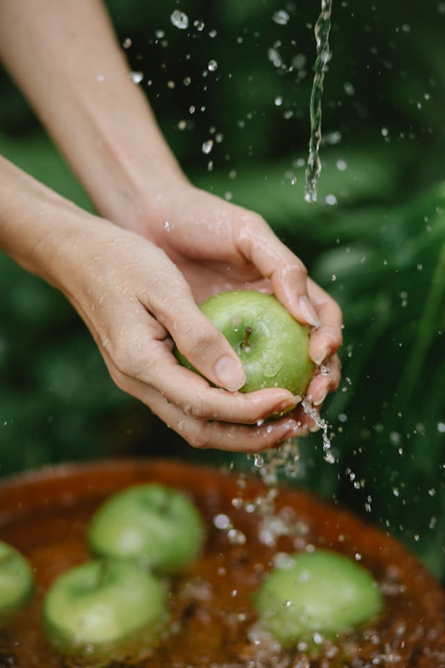 Crop faceless woman washing green apples in garden // Healthier Pets Today