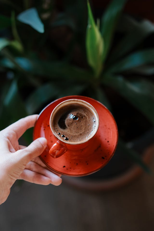 Woman Holding a Cup of Coffee // Healthier Pets Today