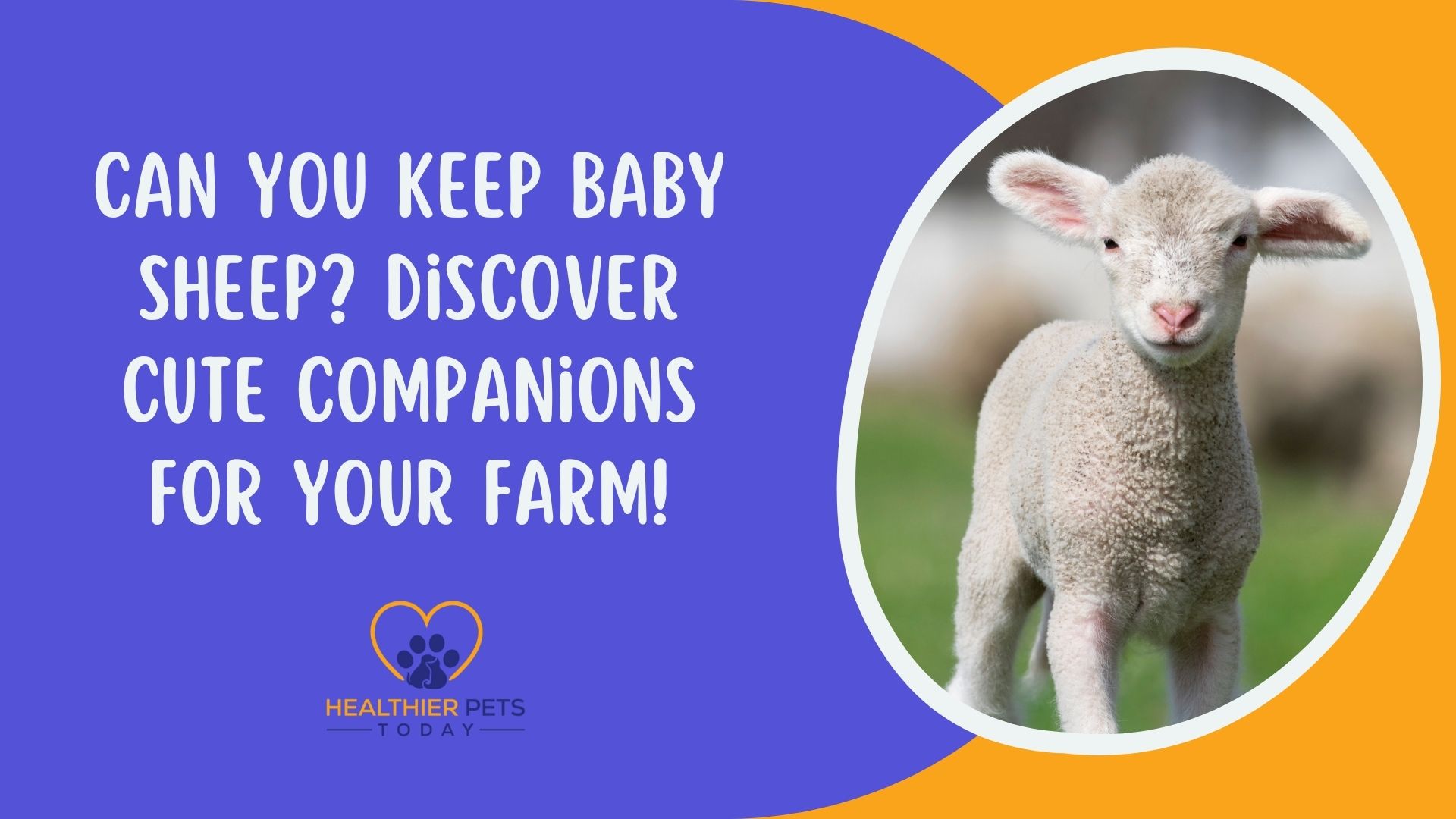Can You Keep Baby Sheep Discover Cute Companions for Your Farm! // Healthier Pets Today