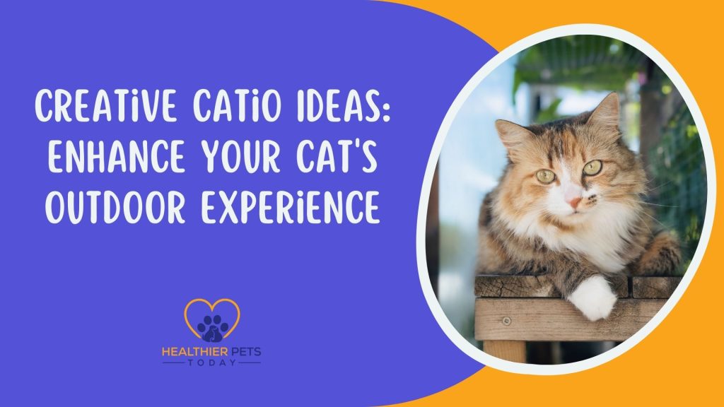 Creative Catio Ideas: Enhance Your Cat's Outdoor Experience // Healthier Pets Today