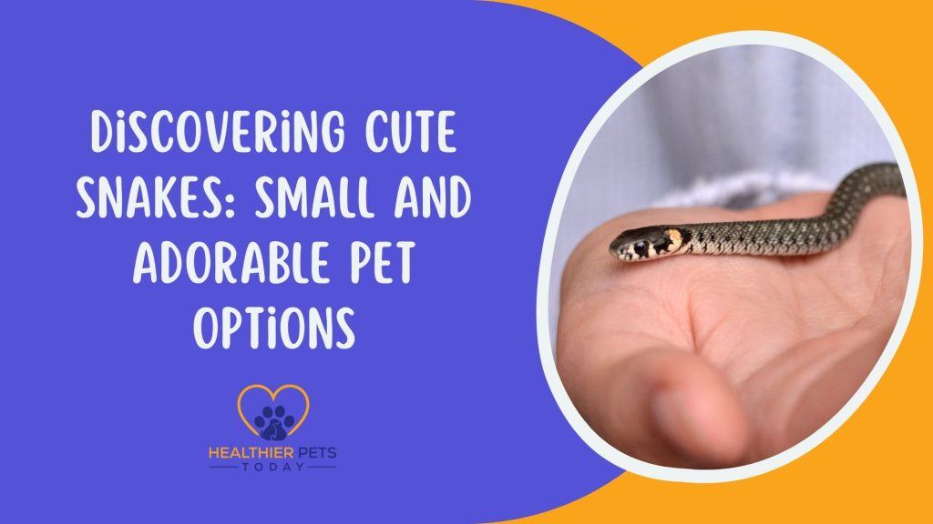 Discovering Cute Snakes Small and Adorable Pet Options // Healthier Pets Today