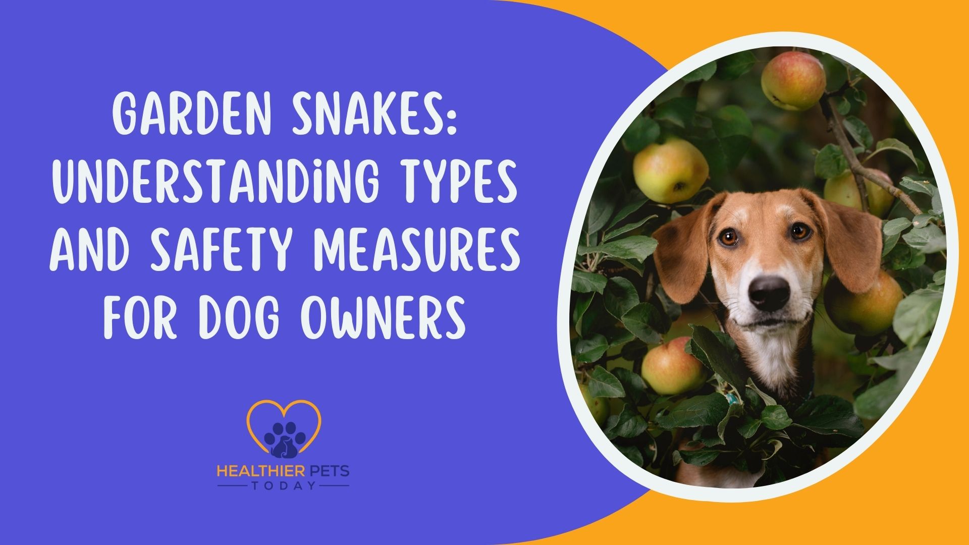 Garden Snakes: Understanding Types and Safety Measures for Dog Owners // Healthier Pets Today