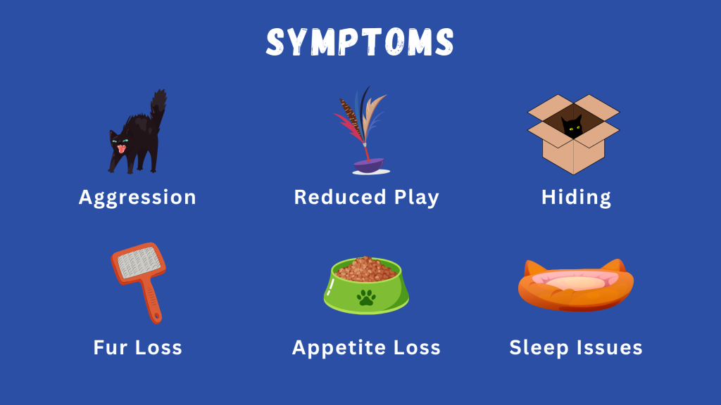 Blue background with illustrated icons of a hissing black cat, a feather toy, a cat hiding in a box, a brush, a food bowl, and a cat bed — labeled with symptoms: Aggression, Reduced Play, Hiding, Fur Loss, Appetite Loss, and Sleep Issues // Healthier Pets Today