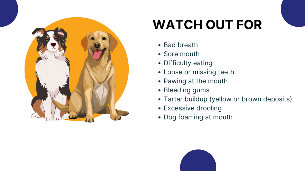 Signs to watch out for in canines that indicate dental issues // Healthier Pets Today