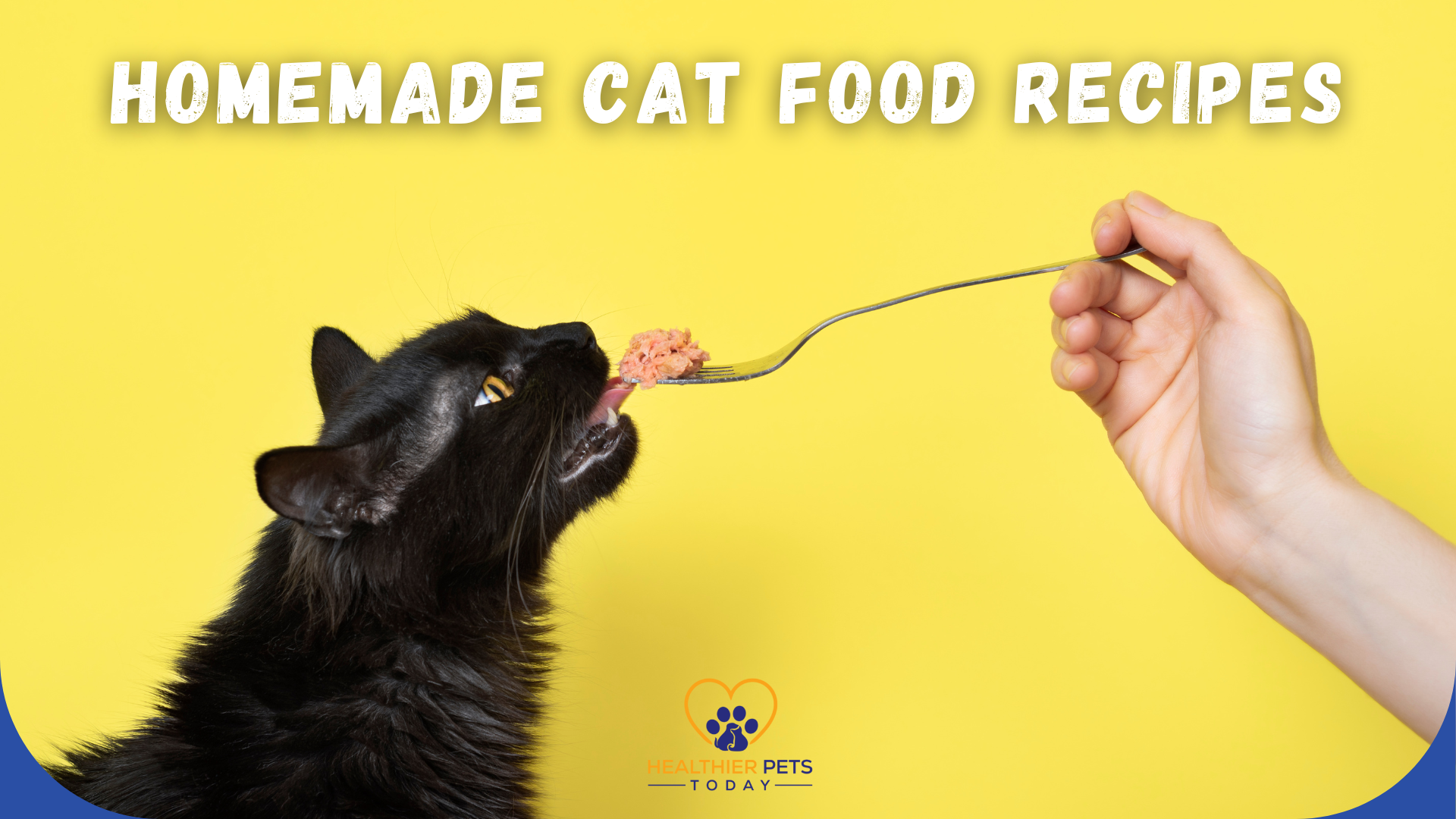 Black cat eating cat food from a fork with the text “Homemade Cat Food Recipes” on a yellow background. // Healthier Pets Today