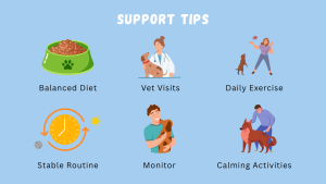 Support tips for dogs: balanced diet, vet visits, daily exercise, stable routine, monitoring, and calming activities // Healthier Pets Today