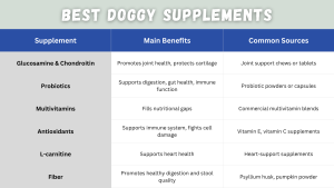 A blue and white table titled “Best Doggy Supplements,” listing supplements like glucosamine, probiotics, multivitamins, antioxidants, L-carnitine, and fiber with their main benefits and sources // Healthier Pets Today
