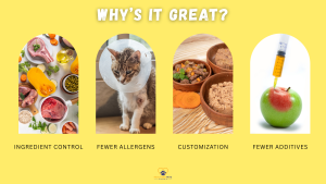 Four images showing ingredients, a cat with a cone, bowls of cat food, and an apple with a syringe, with the heading “Why’s It Great?” and benefits listed: ingredient control, fewer allergens, customization, and fewer additives. // Healthier Pets Today