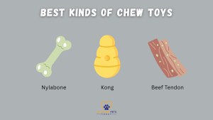 Illustrated chew toys including a Nylabone, a yellow Kong, and a beef tendon. Title says “Best Kinds of Chew Toys.” // Healthier Pets Today