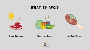 Illustrations showing what to avoid when feeding dogs raw meat: poor storage with meat under the sun, unclean tools, and spoiled meat. Text reads “What to Avoid” with the Healthier Pets Today logo. // Healthier Pets Today
