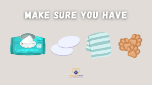 Illustrations of pet ear-cleaning supplies: a pack of wipes, cotton pads, a striped towel, and paw-shaped treats. Large text at the top says: “MAKE SURE YOU HAVE.” // Healthier Pets Today