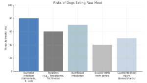 Bar graph titled “Risks of Dogs Eating Raw Meat” showing bacterial infection, parasites, nutritional imbalance, broken teeth from bones, and gastrointestinal injury as health threats in percentage values. // Healthier Pets Today