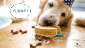 A golden retriever wearing a blue party hat licks a small dog cake on a table scattered with dog treats. A speech bubble says “Yummy!” // Healthier Pets Today