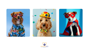 Three dogs dressed up in colorful costumes — one wearing sunglasses and a Hawaiian shirt, another with a polka-dot hat and bow tie, and a third dressed as a superhero with a red cape and mask. // Healthier Pets Today