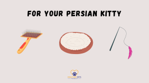 Illustrations of a cat grooming brush, a round cat bed, and a feather toy on a string. Text above reads: “FOR YOUR PERSIAN KITTY.” Healthier Pets Today logo at the bottom center. // Healthier Pets To
