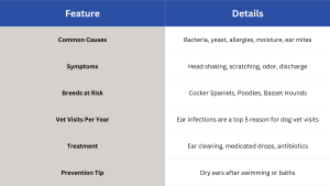 A blue and gray table labeled “Feature” and “Details” listing information about dog ear infections, including causes, symptoms, breeds at risk, vet visits per year, treatments, and prevention tips. // Healthier Pets Today