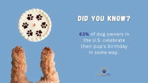 A dog’s paws reach toward a cake decorated with chocolate paw prints on white frosting. Text on image: “Did You Know? 63% of dog owners in the U.S. celebrate their pup’s birthday in some way.” // Healthier Pets Today