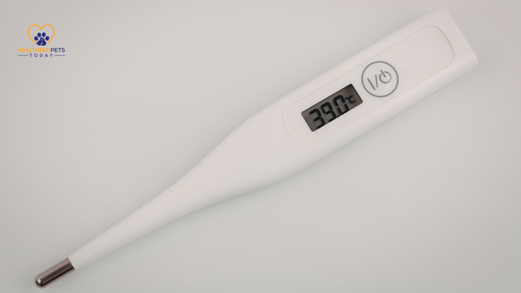 Digital thermometer displaying 39.0°C beside the Healthier Pets Today logo // Healthier Pets Today